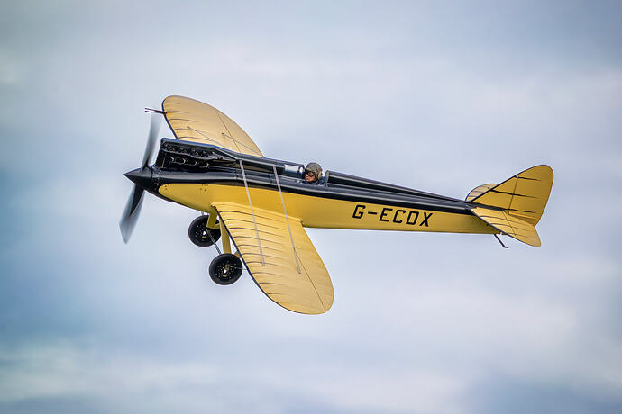 DH.71 Tiger Moth
