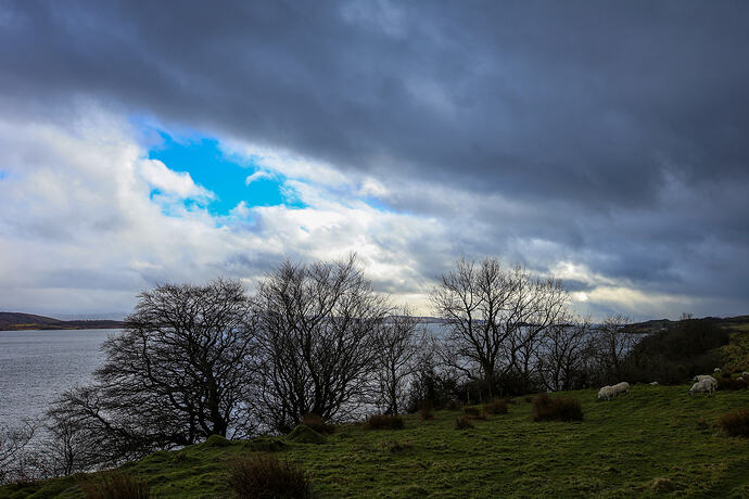 blue sky
