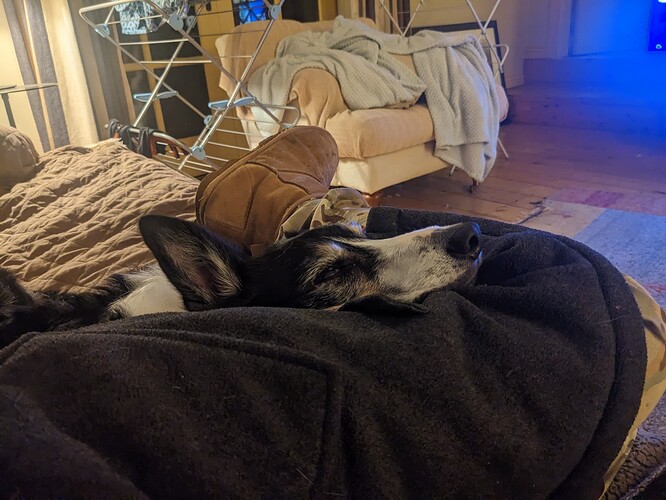 PXL_20241013_184851324