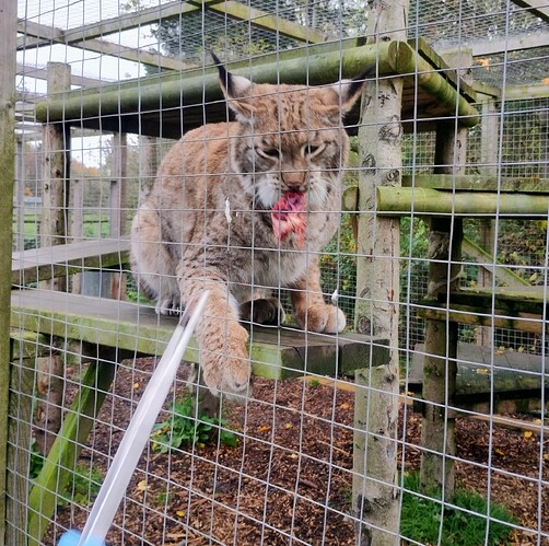 IMG_20251106_090846743_HDR~2