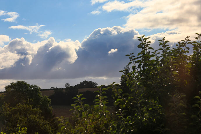 somerset morn 2