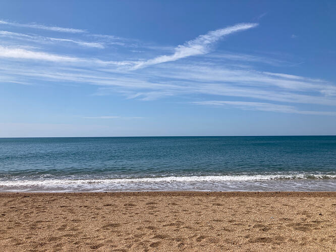 IMG_8593