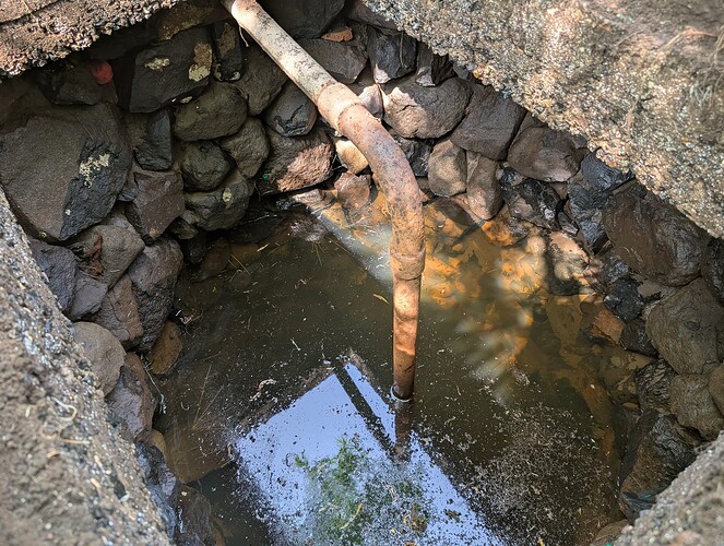 PXL_20250621_134729463