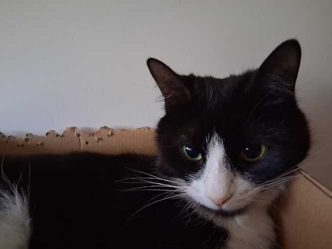 WhatsApp Image 2026-03-07 at 08.40.46