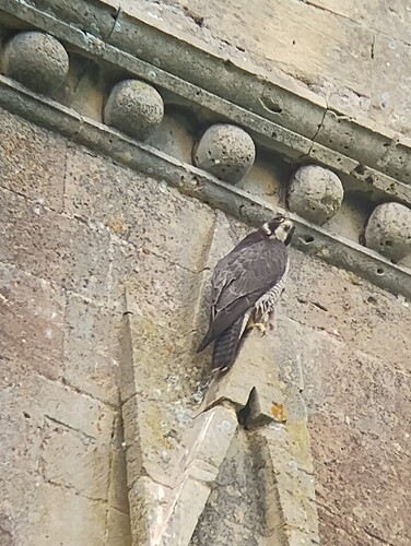 IMG_20230523_110107437