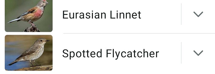 Screenshot_2025-04-27-09-09-58-989