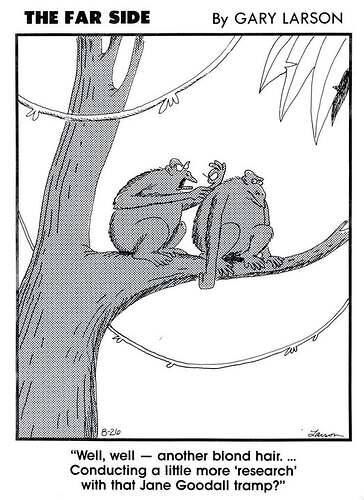 557624819_1353424789482640_5614081836254172031_n