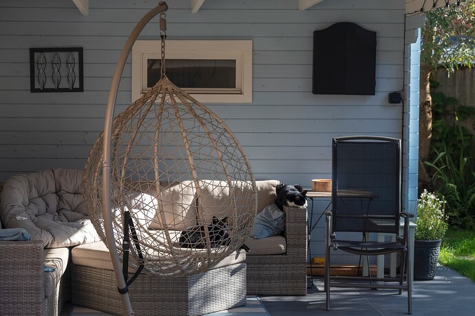 Comfort in the autumn sunshine