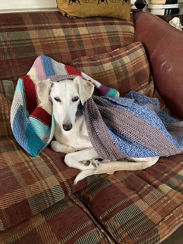 70064838104__3CB347B9-6F57-4744-AFC2-24814F1FA108