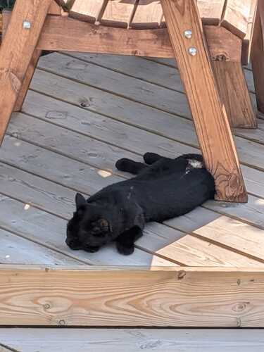 under decking chair