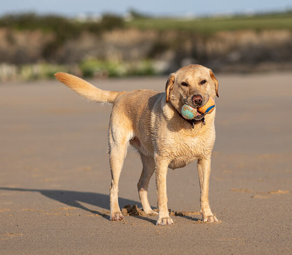 Harlyn Bay 2