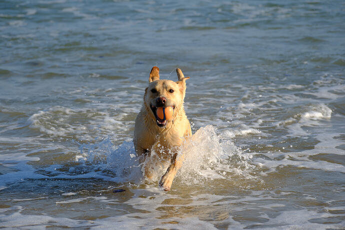 Harlyn Bay