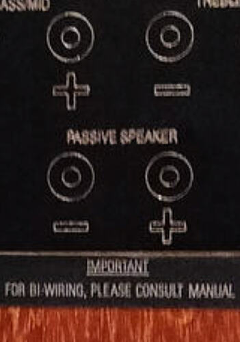 Linn Sara 9 speakers - Hi-Fi Corner - Naim Audio - Community