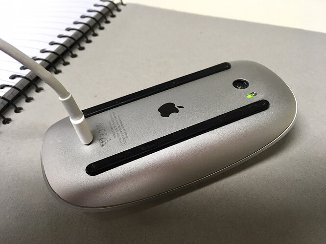 31750-53575-magic-mouse-2-turtled-xl