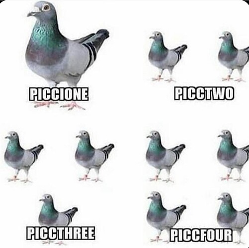 1000011150