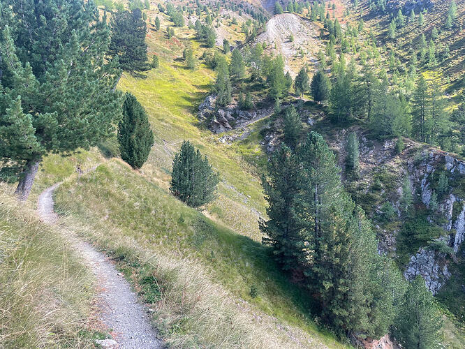 IMG_0887