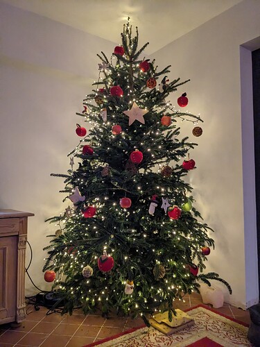 PXL_20231206_171227547