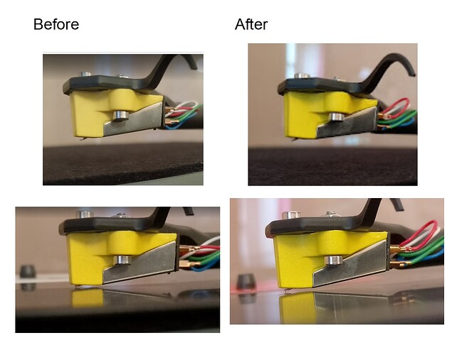 Rega Exact Before N After JPG