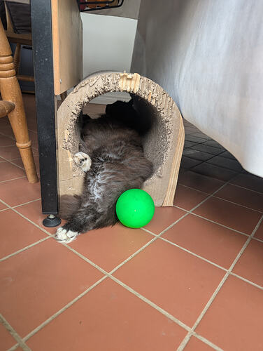 PXL_20260315_110546947