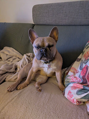 PXL_20260101_180926656