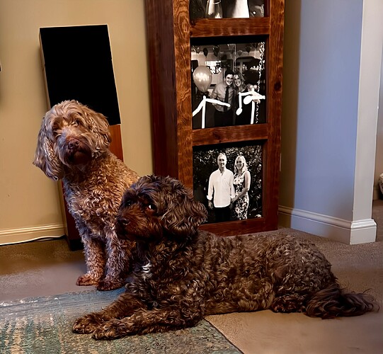 att.zWFWmsVL67r4dQ8YbIKaLgd13p-F8iJknQ8OgzZ0OG0