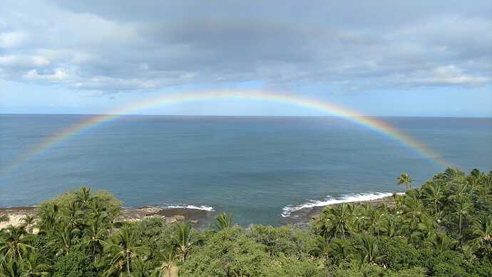 IMG-20240310-WA0003