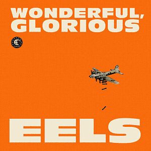 Eels_-_Wonderful,_Glorious