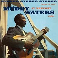Muddy Waters at Newport