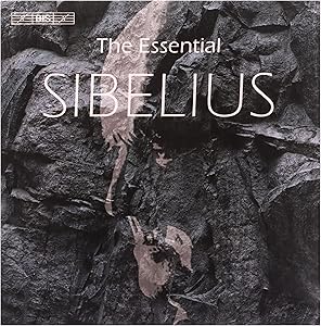 918M71+x2xL.AC_SL300